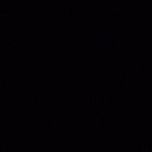 Meet your Posher, Ida